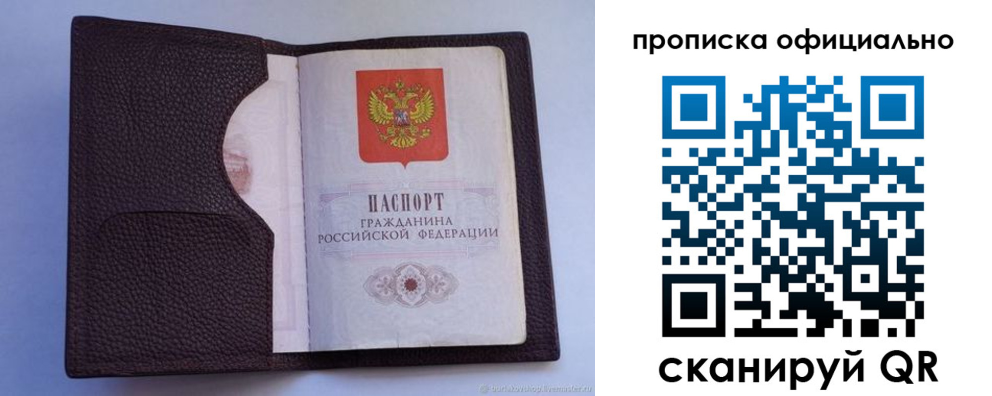 купить прописку в Фрязино
